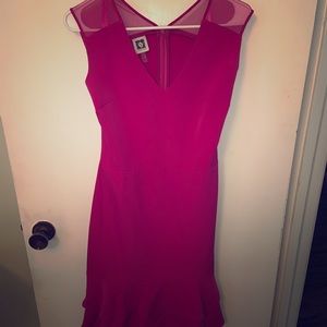 Elegant Anne Klein Dress with Mesh Sleeves
